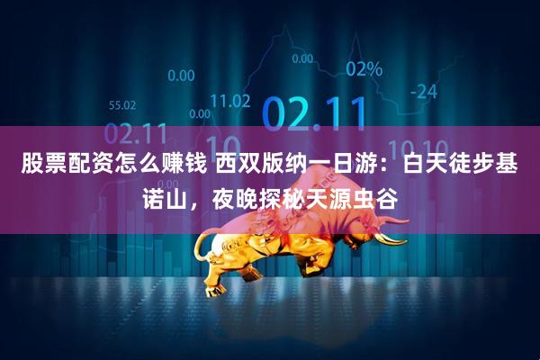股票配资怎么赚钱 西双版纳一日游：白天徒步基诺山，夜晚探秘天源虫谷
